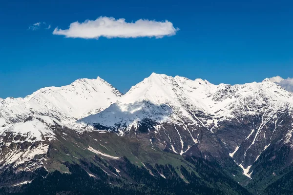 snowy mountain tops are covered with forest