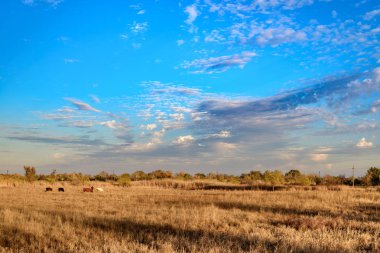 günbatımı mavi gökyüzü ile hassas ve kabarık bulutlar ve altın bir alan