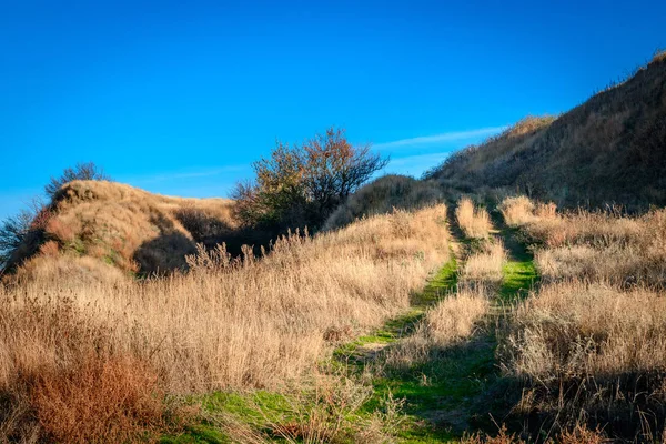 Zandweg Begroeid Met Gras Omhoog Naar Heuvel Mooi Landschap Met — Stockfoto