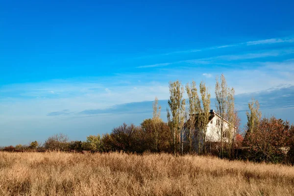 Agrotoerisme Onder Bomen Een Weide Met Gedroogd Gras Prachtige Landelijke — Stockfoto