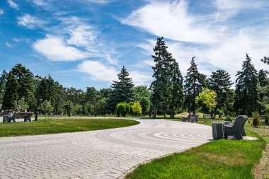 En romantik peyzaj park garden.Comfortable yürüyüş yolu yeşil çimenli bahçede gider
