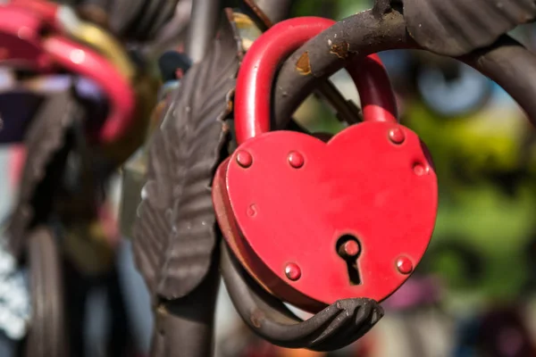 Herzförmige Schlösser Hängen Eisernen Zaun Hintergrund Zum Valentinstag — Stockfoto