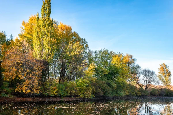Nehir boyunca sarı yaprakları ve suda yansımalar ile sonbahar peyzaj ağaçları