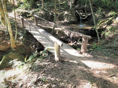 Passagem Ayık Riacho Na Mata Atllntica