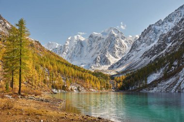 Parlak renkli sarı sonbahar dağ Gölü, Rusya, Sibirya, Altay Dağları, Chuya ridge.