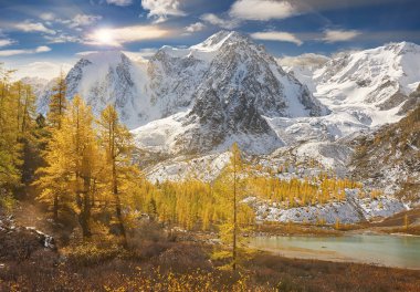 Parlak renkli sarı sonbahar dağ Gölü, Rusya, Sibirya, Altay Dağları, Chuya ridge.