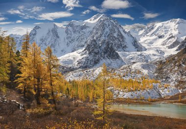 Parlak renkli sarı sonbahar dağ Gölü, Rusya, Sibirya, Altay Dağları, Chuya ridge.