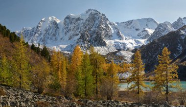 Parlak renkli sarı sonbahar dağ Gölü, Rusya, Sibirya, Altay Dağları, Chuya ridge.