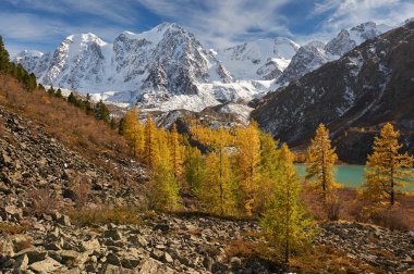 Parlak renkli sarı sonbahar dağ Gölü, Rusya, Sibirya, Altay Dağları, Chuya ridge.