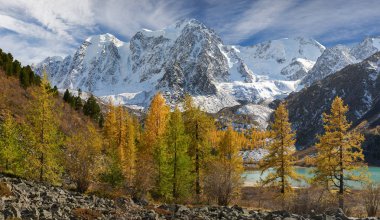 Parlak renkli sarı sonbahar dağ Gölü, Rusya, Sibirya, Altay Dağları, Chuya ridge.