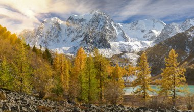Parlak renkli sarı sonbahar dağ Gölü, Rusya, Sibirya, Altay Dağları, Chuya ridge.