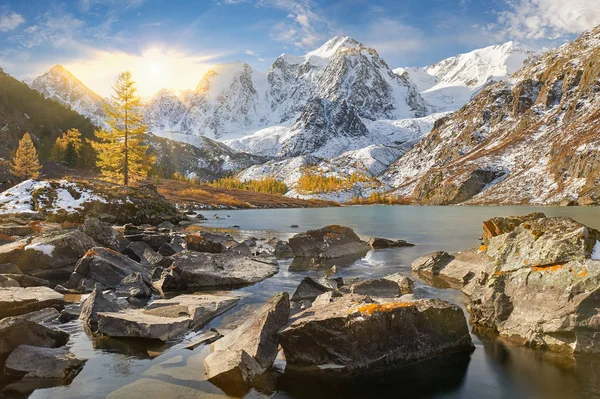 Lac Montagne Automne Jaune Lumineux Coloré Russie Sibérie Montagnes Altaï — Photo