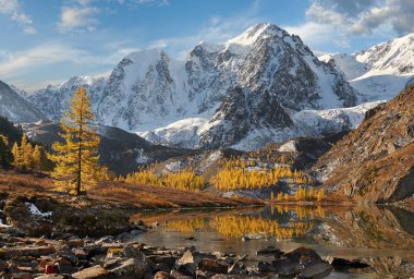 Parlak renkli sarı sonbahar dağ Gölü, Rusya, Sibirya, Altay Dağları, Chuya ridge.