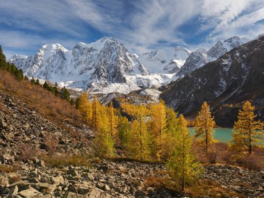 Parlak renkli sarı sonbahar dağ Gölü, Rusya, Sibirya, Altay Dağları, Chuya ridge.