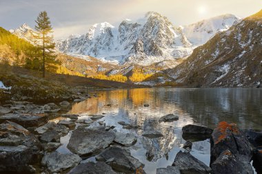 Parlak renkli sarı sonbahar dağ Gölü, Rusya, Sibirya, Altay Dağları, Chuya ridge.