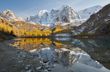 Parlak renkli sarı sonbahar dağ Gölü, Rusya, Sibirya, Altay Dağları, Chuya ridge.