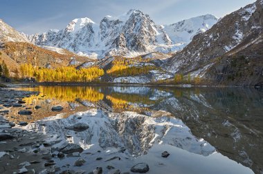 Parlak renkli sarı sonbahar dağ Gölü, Rusya, Sibirya, Altay Dağları, Chuya ridge.