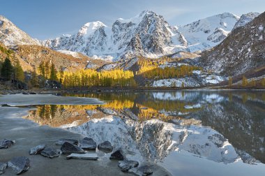 Parlak renkli sarı sonbahar dağ Gölü, Rusya, Sibirya, Altay Dağları, Chuya ridge.