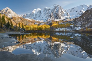 Parlak renkli sarı sonbahar dağ Gölü, Rusya, Sibirya, Altay Dağları, Chuya ridge.
