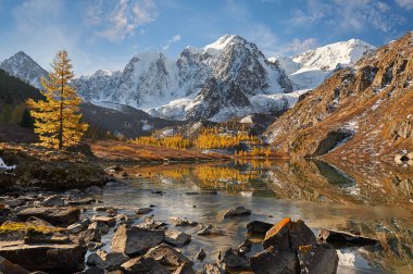 Parlak renkli sarı sonbahar dağ Gölü, Rusya, Sibirya, Altay Dağları, Chuya ridge.