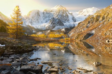 Parlak renkli sarı sonbahar dağ Gölü, Rusya, Sibirya, Altay Dağları, Chuya ridge.