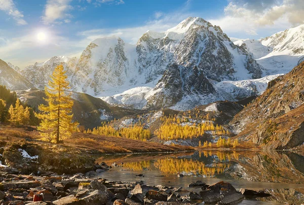 Lago Amarillo Brillante Montaña Del Otoño Rusia Siberia Montañas Altai — Foto de Stock