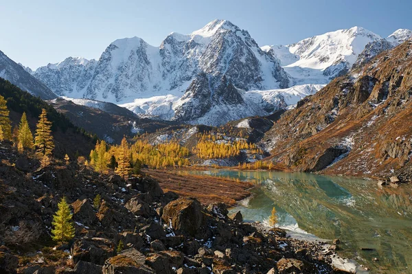 Světlé Barevné Žluté Podzimní Horské Jezero Rusko Sibiř Altaj Chuya — Stock fotografie