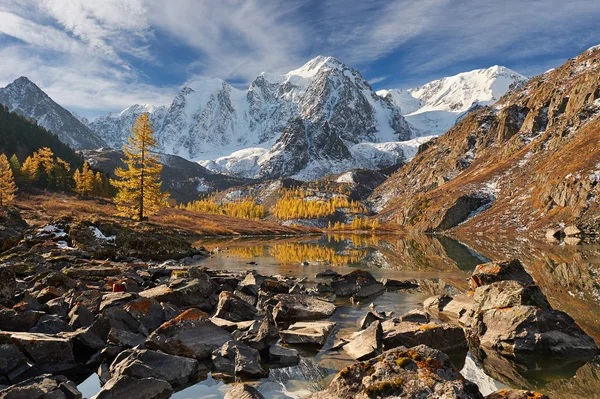 Leuchtend Bunte Gelbe Herbst Bergsee Russland Sibirien Altai Gebirge Chuya — Stockfoto