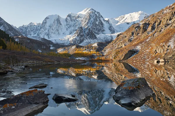 Lac Montagne Automne Jaune Lumineux Coloré Russie Sibérie Montagnes Altaï — Photo