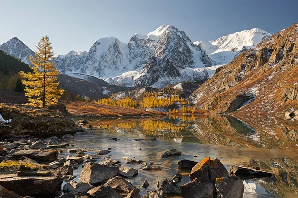 Lago Amarillo Brillante Montaña Del Otoño Rusia Siberia Montañas Altai —  Fotos de Stock