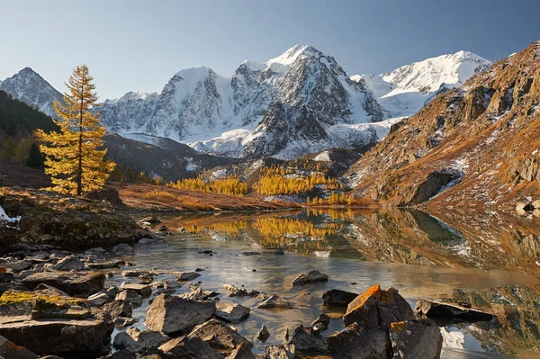 Leuchtend Bunte Gelbe Herbst Bergsee Russland Sibirien Altai Gebirge Chuya — Stockfoto