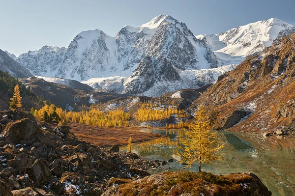Jasny Kolorowy Żółty Jesień Jezioro Rosji Syberii Góry Ałtaj Grzbiet — Zdjęcie stockowe