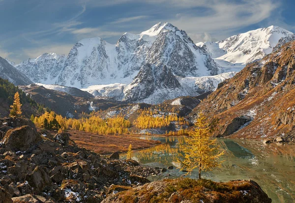 明るいカラフルな黄色秋山湖 ロシア シベリア アルタイ山脈 中也リッジ — ストック写真