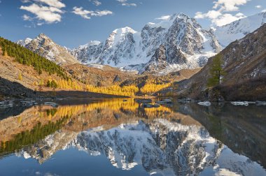 Parlak renkli sarı sonbahar dağ Gölü, Rusya, Sibirya, Altay Dağları, Chuya ridge.