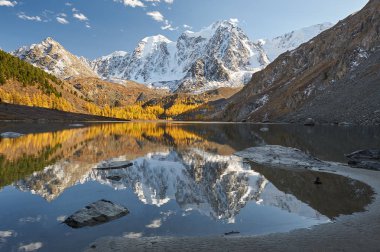 Parlak renkli sarı sonbahar dağ Gölü, Rusya, Sibirya, Altay Dağları, Chuya ridge.
