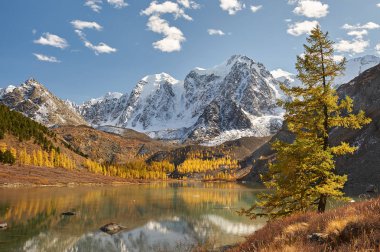 Parlak renkli sarı sonbahar dağ Gölü, Rusya, Sibirya, Altay Dağları, Chuya ridge.