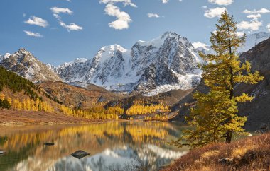 Parlak renkli sarı sonbahar dağ Gölü, Rusya, Sibirya, Altay Dağları, Chuya ridge.