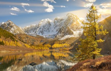 Parlak renkli sarı sonbahar dağ Gölü, Rusya, Sibirya, Altay Dağları, Chuya ridge.