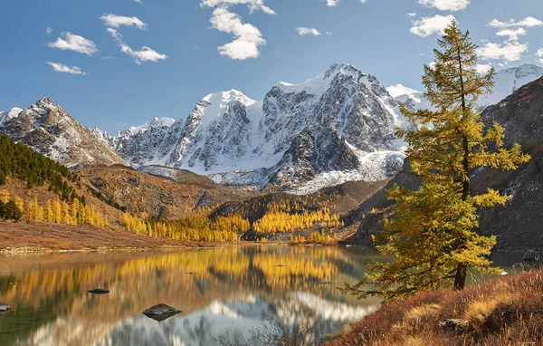 Heldere Kleurrijke Gele Herfst Bergmeer Rusland Siberië Altaj Chuya Ridge — Stockfoto