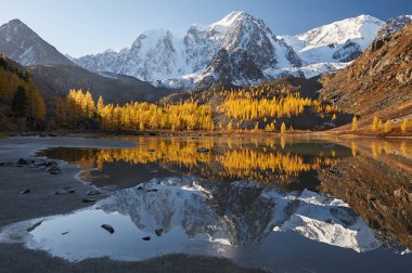 Parlak renkli sarı sonbahar dağ Gölü, Rusya, Sibirya, Altay Dağları, Chuya ridge.