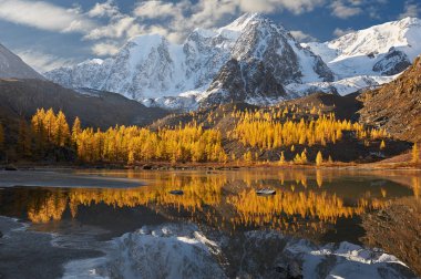 Parlak renkli sarı sonbahar dağ Gölü, Rusya, Sibirya, Altay Dağları, Chuya ridge.