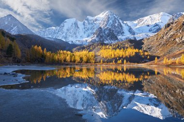 Parlak renkli sarı sonbahar dağ Gölü, Rusya, Sibirya, Altay Dağları, Chuya ridge.