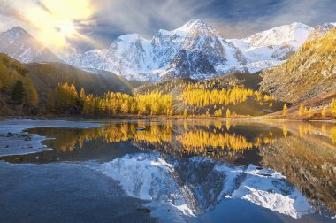 Parlak renkli sarı sonbahar dağ Gölü, Rusya, Sibirya, Altay Dağları, Chuya ridge.