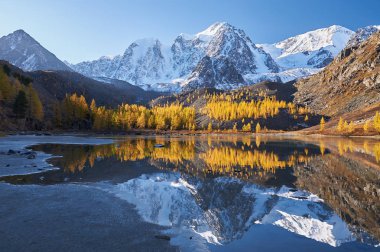 Parlak renkli sarı sonbahar dağ Gölü, Rusya, Sibirya, Altay Dağları, Chuya ridge.