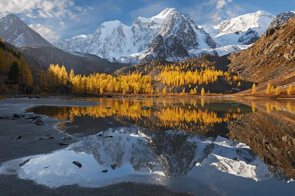 Lago Amarillo Brillante Montaña Del Otoño Rusia Siberia Montañas Altai —  Fotos de Stock