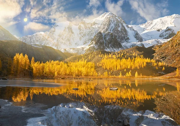 Parlak Renkli Sarı Sonbahar Dağ Gölü Rusya Sibirya Altay Dağları — Stok fotoğraf