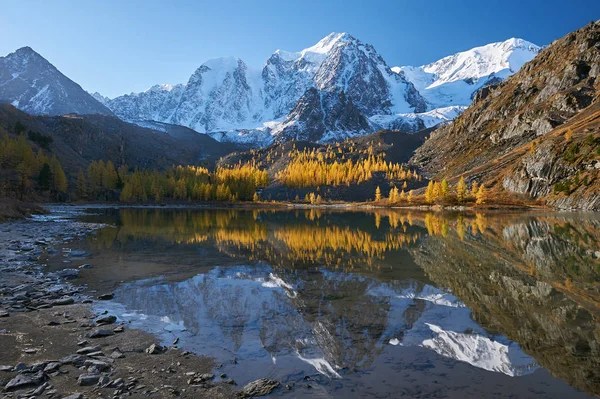 Heldere Kleurrijke Gele Herfst Bergmeer Rusland Siberië Altaj Chuya Ridge — Stockfoto