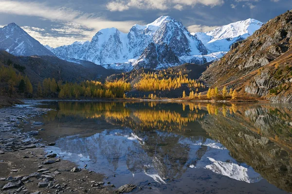 Lac Montagne Automne Jaune Lumineux Coloré Russie Sibérie Montagnes Altaï — Photo