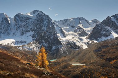 Parlak renkli sarı sonbahar dağ Gölü, Rusya, Sibirya, Altay Dağları, Chuya ridge.