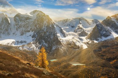 Parlak renkli sarı sonbahar dağ Gölü, Rusya, Sibirya, Altay Dağları, Chuya ridge.